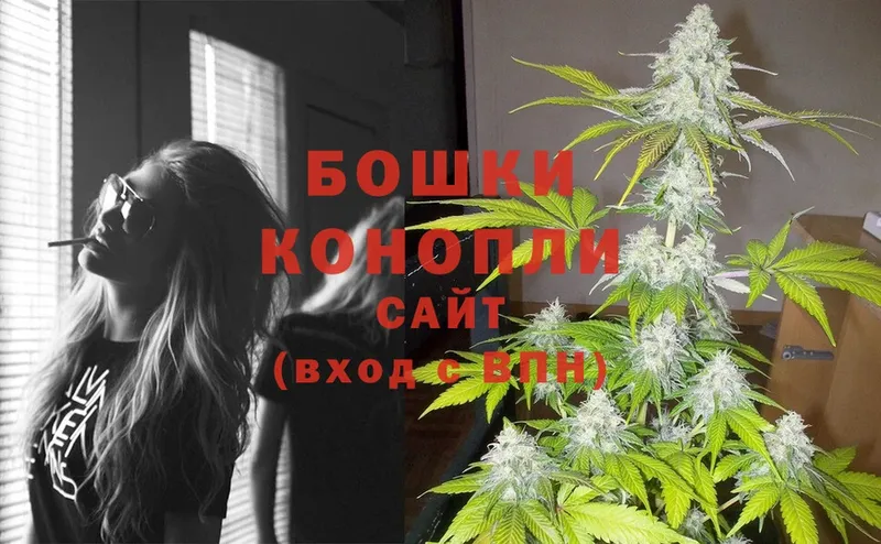 Бошки марихуана THC 21%  Западная Двина 